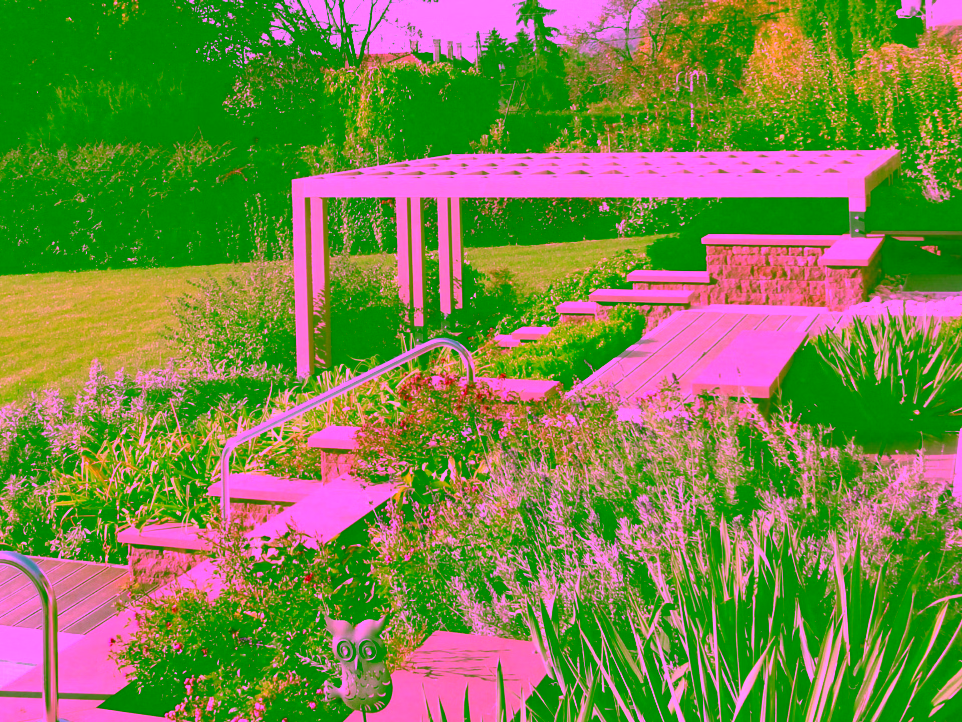 terasz, kert, pergola