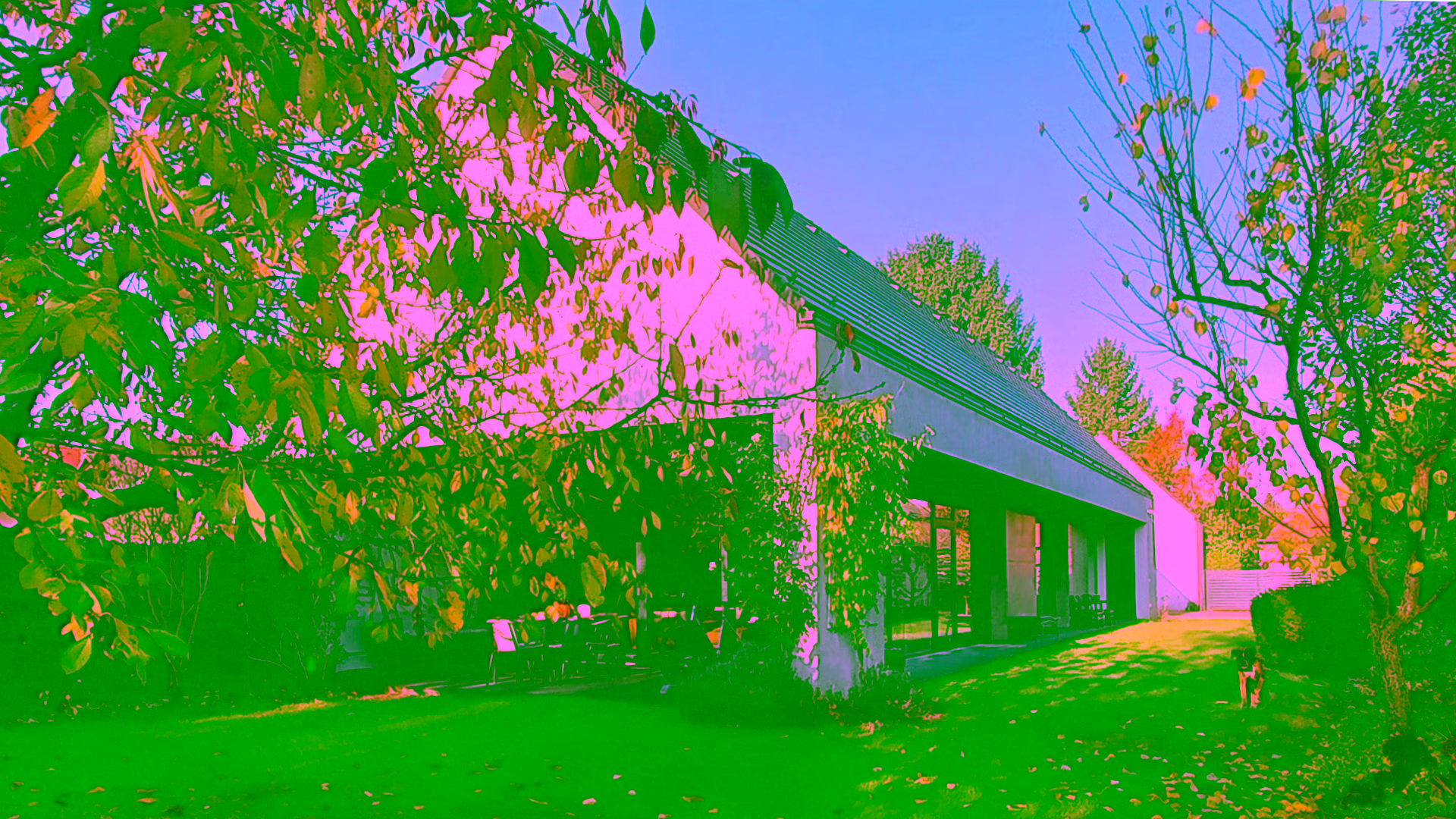 kert felől / <em>garden view</em>